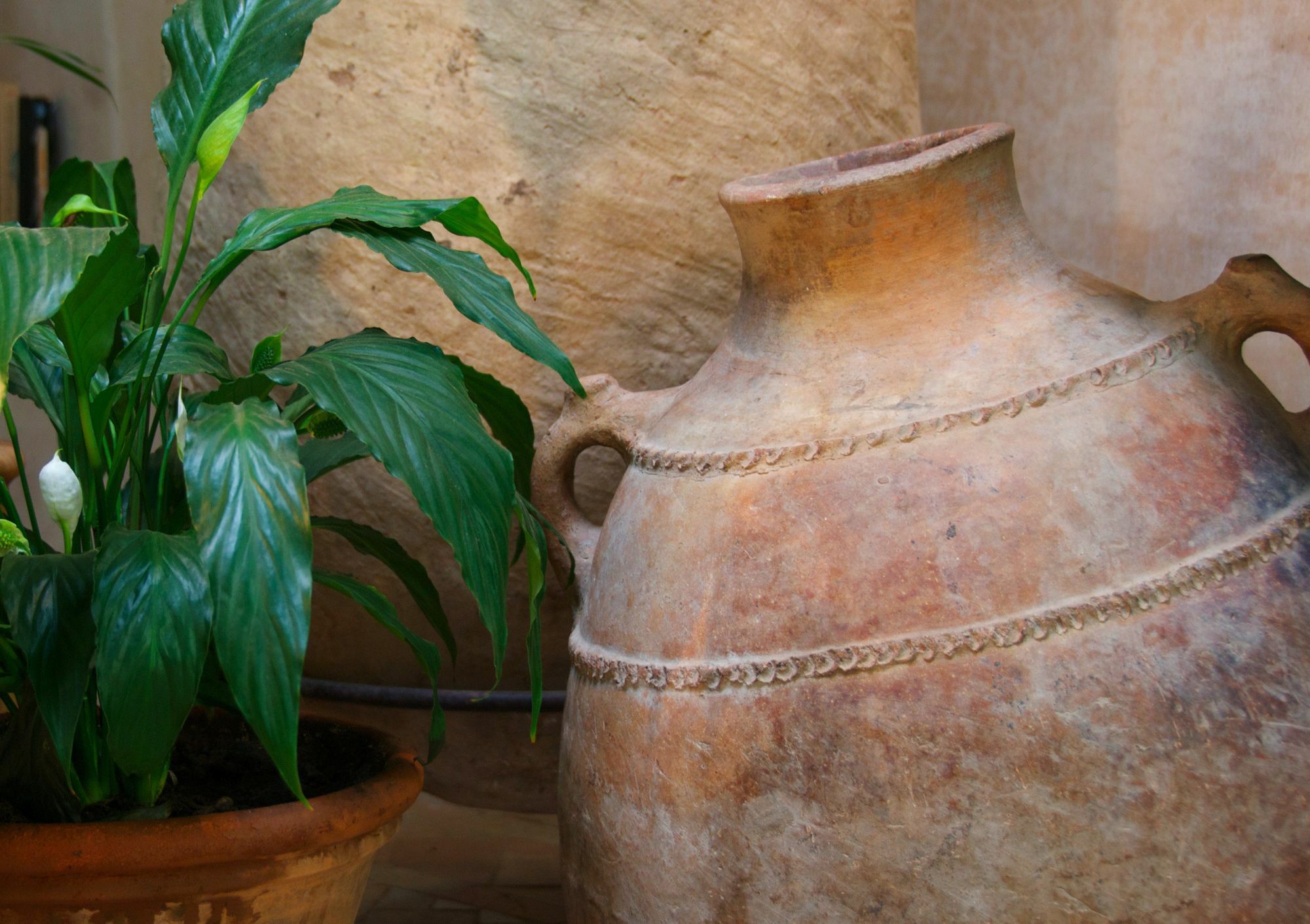 Hotel Dar Housnia Marrakesh Exterior foto